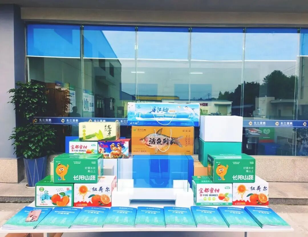 從“工業廢渣”到“出海護鮮箱”   現代精工賦能固廢高值化應用